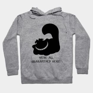 Quarantined with my cat - Crazy Magic cat | Cat lover Hoodie